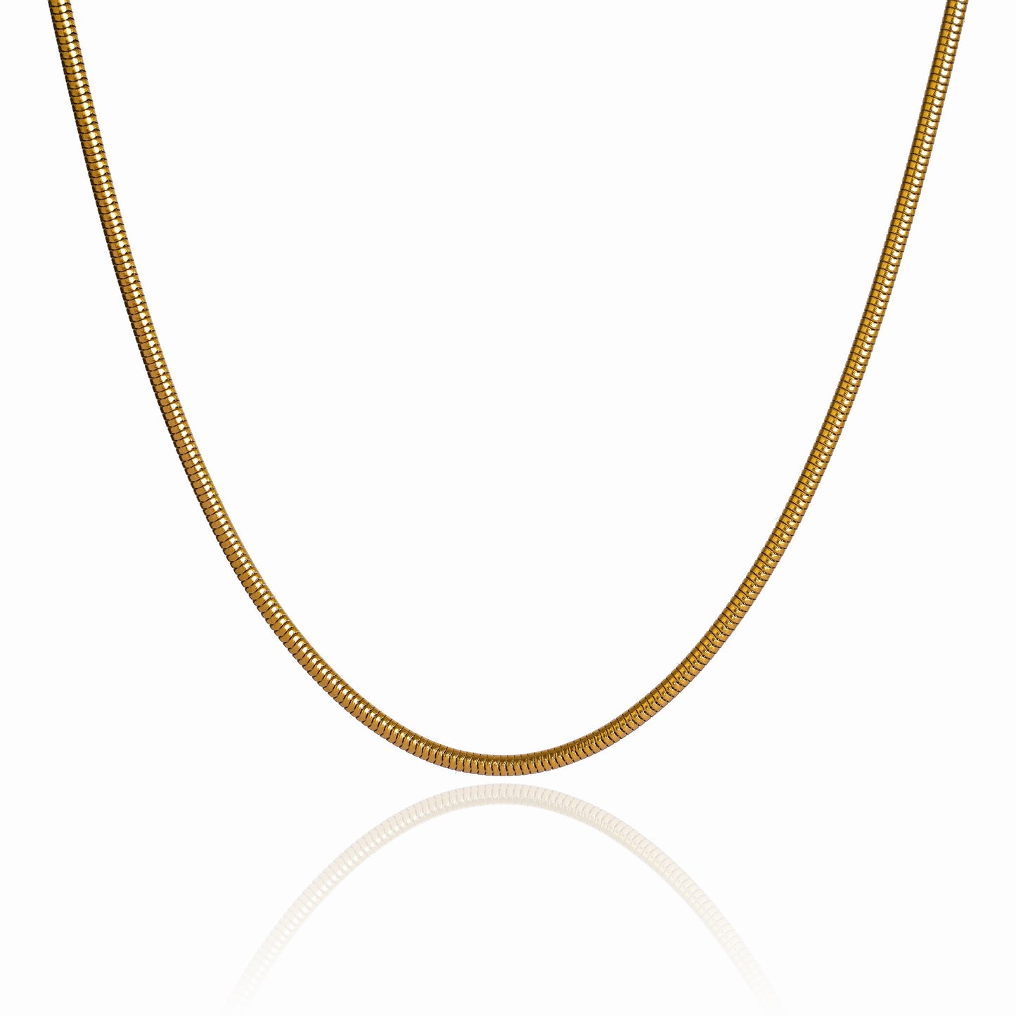 Elegant Snake Chain Necklace