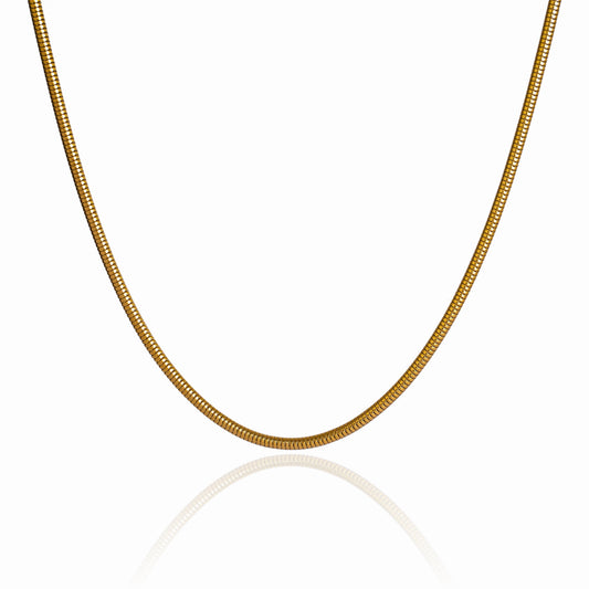 Elegant Snake Chain Necklace